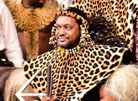 King Misuzulu Zulu Biography, Wikipedia, Early Life, Education, Age & Career