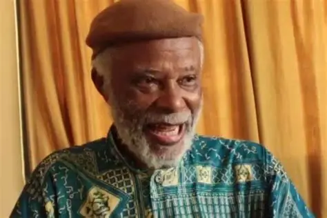 Chinweizu Ibekwe Biography, Wikipedia, Early Life, Education, Career & Achievements