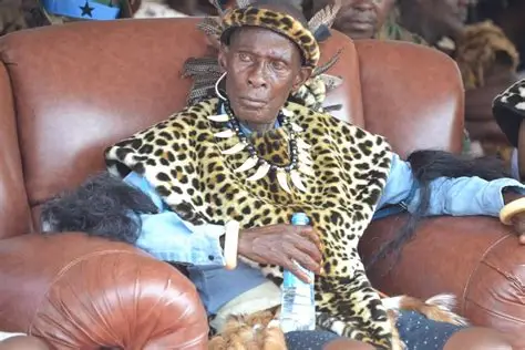 Mpezeni IV Biography, Wikipedia, Age, Career & Personal Life