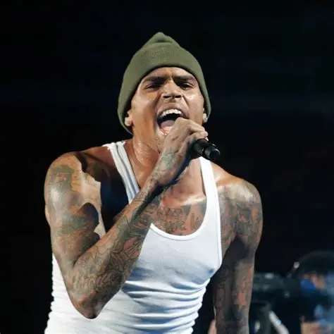 Chris Brown Fights $13 Million Dog Attack Verdict in Bid for New Trial